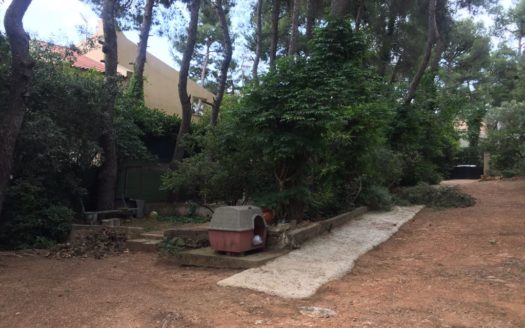 ΕΚΑΛΗ οικόπεδο 1.080 τ.μ.
